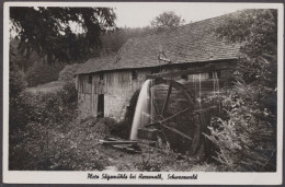 Herrenalb, Plotz Sägemühle, Schwarzwald - Sonstige & Ohne Zuordnung