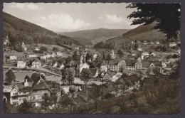 Herrenalb/Schwarzwald, Blick Vom Marienweg In Das Gaistal - Sonstige & Ohne Zuordnung