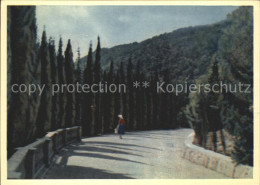 72354990 Jalta Yalta Krim Crimea Road To The Kurpaty Boarding House  - Ukraine