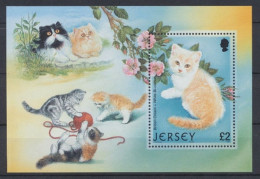 Jersey, MiNr. Block 34, Postfrisch - Jersey