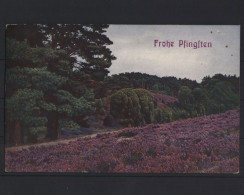 Frohe Pfingsten Aus Der Lüneburger Heide - Pinksteren