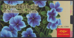 Island, Michel Nr. 1028 MH, Postfrisch - Postzegelboekjes