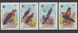 Lesotho, Vögel, MiNr. 556-559, Postfrisch - Lesotho (1966-...)
