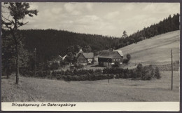 Hirschsprung Im Osterzgebirge - Sonstige & Ohne Zuordnung