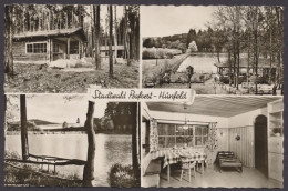 Hünfeld, Stadtwald Praforst - Other & Unclassified