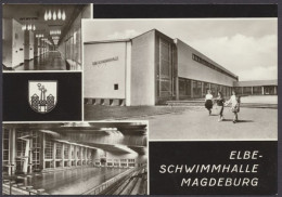 Magdeburg, Elbe - Schwimmhalle - Other & Unclassified