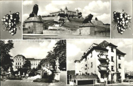 72354082 Wuerzburg Hotel Garni Groene Schloss Loewenskulptur Trauben Wuerzburg - Würzburg