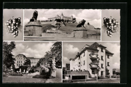 AK Würzburg, Hotel-Pension Groene, Scheffelstr. 2, Festung Marienberg, Schloss  - Wuerzburg