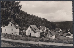 Friedenweiler/Hochschwarzwald, An Der Schillings - Allee - Other & Unclassified