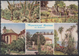 Insel Mainau Im Bodensee, Das Tropische Pflanzenparadies - Autres & Non Classés