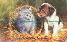 R661135 Birthday Greetings. Dog And Cat. J. Salmon - World