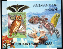 Rotary International 98 Madagascar Owl SS - Rotary, Lions Club