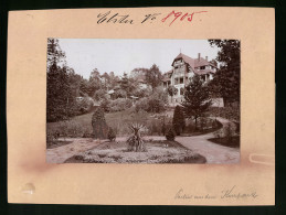 Fotografie Brück & Sohn Meissen, Ansicht Bad Elster, Blick Vom Kurpark Auf Die Villa Sachsengrün, Rückseite Mit AK  - Places