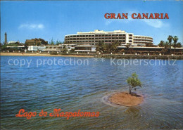 72351017 Gran Canaria Lago De Maspalomas  - Other & Unclassified