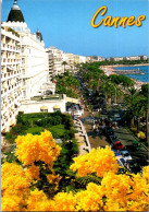 31-5-2024 (6 Z 40) France - Cannes (et Mimosa) - Cannes