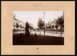 Fotografie Brück & Sohn Meissen, Ansicht Torgau A. Elbe, Blick In Die Bahnhofstrasse Mit Litfasssäule, Wohnhäusern  - Orte