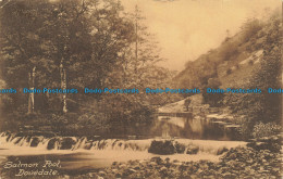 R661803 Dovedale. Salmon Pool. R. And R. Bull. 1922 - World