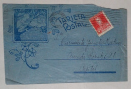 Argentine - Carte Postale Sur Le Thème Du Garçon Aux Oiseaux (1925) - Cigognes & échassiers