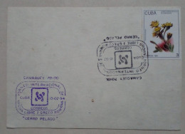 Cuba - Timbre Avec Thème Fleurs (1993) - Sonstige & Ohne Zuordnung