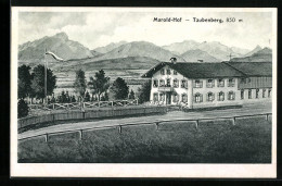 Künstler-AK Sign. Hans Pernat: Taubenberg, Gasthaus Marold-Hof  - Other & Unclassified