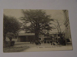 SEINE SAINT DENIS-GAGNY-INSTITUTION RENOU-LE CEDRE-ANIMEE - Gagny