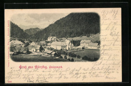 AK Mürzsteg, Teilansicht Mit Bergblick  - Other & Unclassified