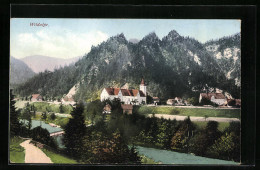 AK Wildalpe, Ortsansicht Mit Fluss Und Kirche  - Autres & Non Classés