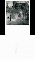 Ansichtskarte  Burg Ruine, Ort Unbekannt 1960 - A Identifier