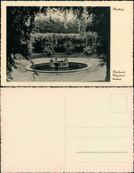 Ansichtskarte Hamburg Pinguinenbrunnen - Stadtpark 1932 - Altri & Non Classificati