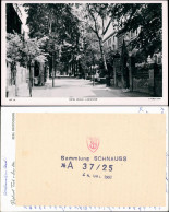 Postcard Leicester New Walk 1943 - Sonstige & Ohne Zuordnung