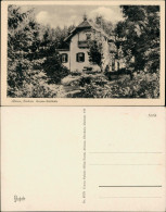 Ansichtskarte Altenau-Clausthal-Zellerfeld Pension Waldhöhe 1955 - Altenau