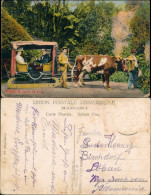 Postcard Funchal Carro De Bois - Ochsenkarren 1907 - Other & Unclassified