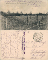 Ansichtskarte  Drahtverhaue Zwischen Den Schützengräben WK1 1917 - Guerre 1914-18