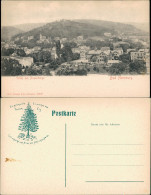 Ansichtskarte Bad Harzburg Villen Am Papenberge, Panorama Gesamtansicht 1903 - Bad Harzburg