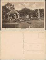 Herne Stadtpark Stadtgarten Teichanlage Schwäne Wasserspiele 1910 - Herne