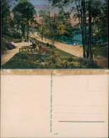 Bad Nauheim Herzogin-Marlies-Park, Blick Auf Teich, Grünanlagen 1910 - Bad Nauheim