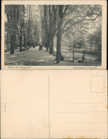 Ansichtskarte Düsseldorf Seufzerallee Im Hofgarten 1913 - Duesseldorf