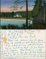 Ansichtskarte Darmstadt Oberwaldhaus Steinbrücker See 1919 - Darmstadt