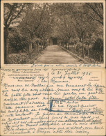 Ansichtskarte Duderstadt Höhere Unterrichtsanstalt Garten 1935 - Duderstadt