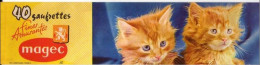 Chromos Image - Gaufrettes Magec BESANCON - Chat - Chaton - Format Panoramique - Altri & Non Classificati