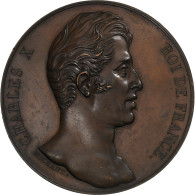 France, Médaille, Charles X, Voyage En Moselle, 1828, Cuivre, Michaut, SUP - Andere & Zonder Classificatie