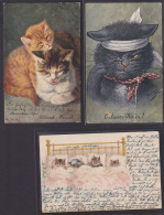 Ansichtskarten Katzen Tolles Lot 16 Stück Incl. Künstlerkarten Wie Arthur Thiele - Autres & Non Classés