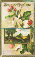 R663101 Birthday Greetings. If Wishes Could Come True. Postcard - Monde