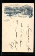 Lithographie Lucerne, Swan-Hôtel-Cygne  - Other & Unclassified