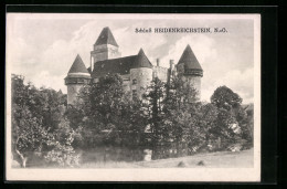 AK Heidenreichstein, Das Schloss  - Autres & Non Classés