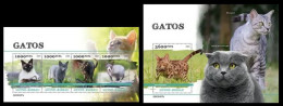 Guinea Bissau  2023 Cats. (407) OFFICIAL ISSUE - Domestic Cats