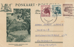 South Africa 1955: Post Card Drakensberg To Wien - Other & Unclassified