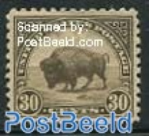 United States Of America 1923 30C, Perf. 11, Stamp Out Of Set, Unused (hinged), Nature - Animals (others & Mixed) - Ongebruikt
