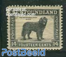 Newfoundland 1932 14c, Perf. 12.5, Stamp Out Of Set, Mint NH, Nature - Dogs - Other & Unclassified