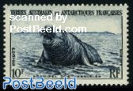 French Antarctic Territory 1956 10f, Stamp Out Of Set, Mint NH, Nature - Sea Mammals - Neufs
